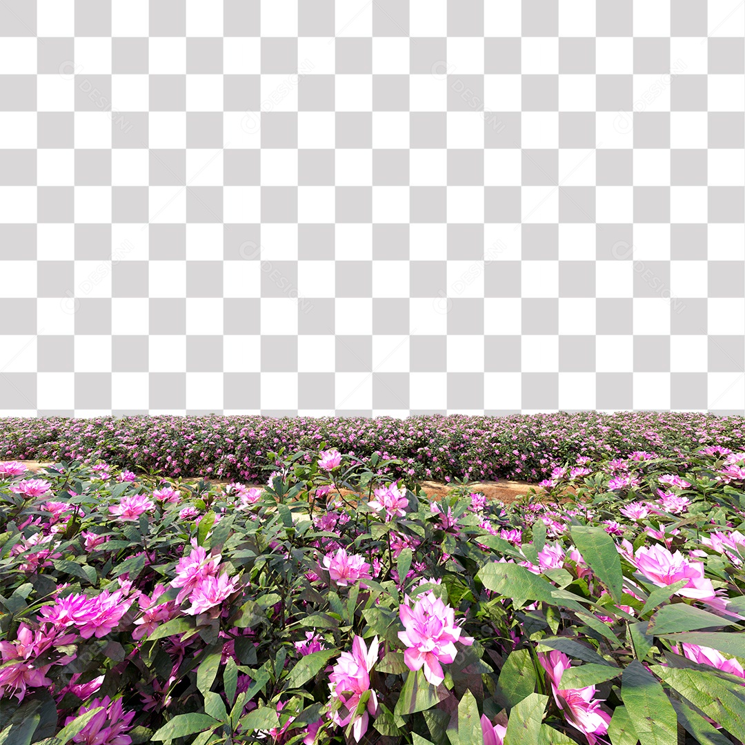 Flower Bush By The Roadside PNG Transparent