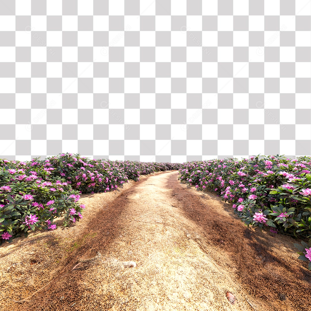 Arbusto de Flores Na Beira da Estrada PNG Transparente