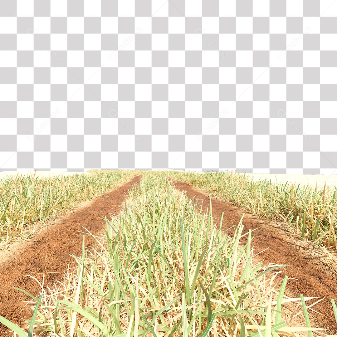 Planta Arbusto Grama e Estrada PNG Transparente