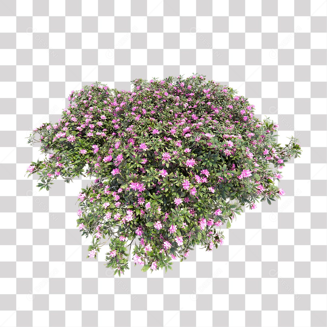 Arbusto de Flores PNG Transparente