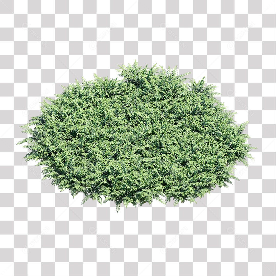 Planta com galhos e folha verdes PNG Transparente