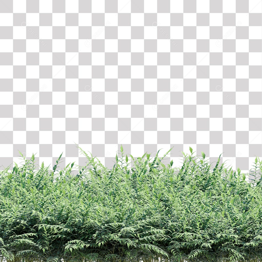 Planta com galhos e folha verdes PNG Transparente