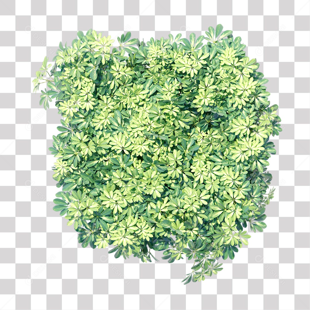 Planta com galhos e folha verdes PNG Transparente