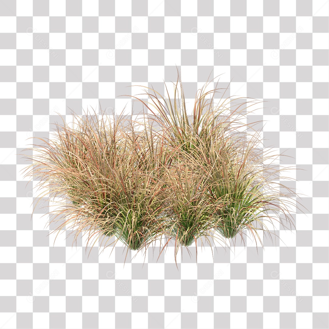 Arbusto Capim Planta Jardim PNG Transparente