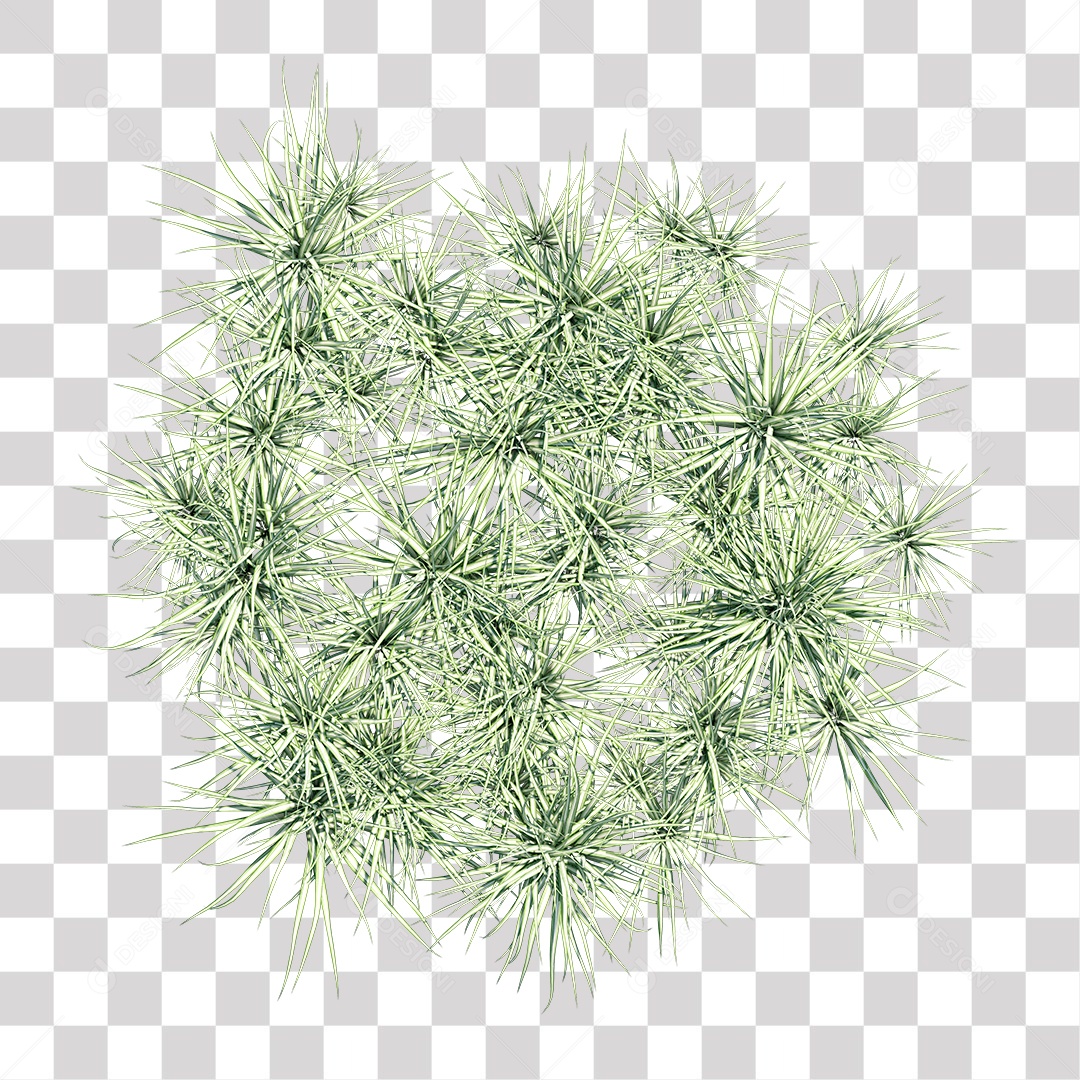 Arbusto Capim Planta Jardim PNG Transparente