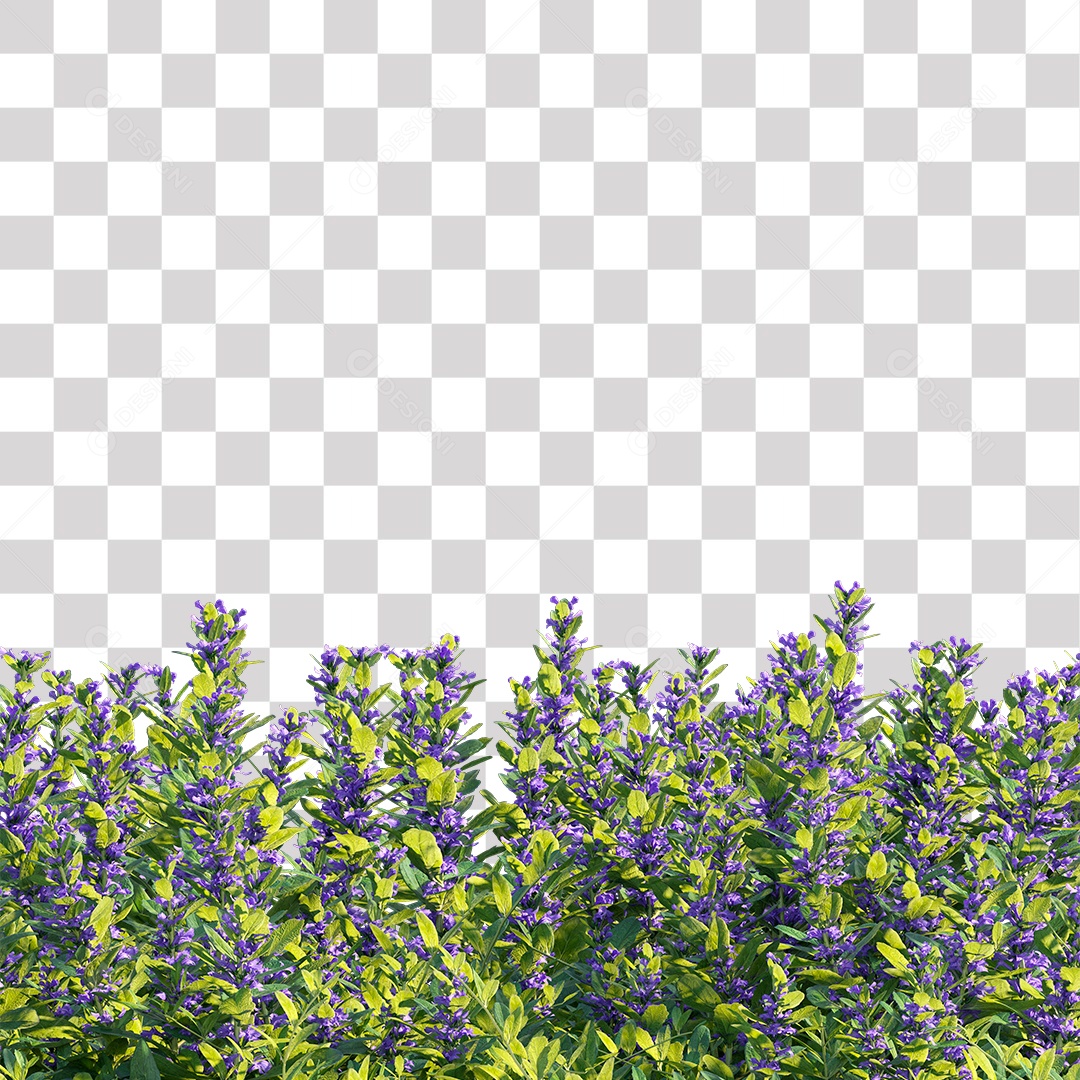 Planta com Flor PNG Transparente