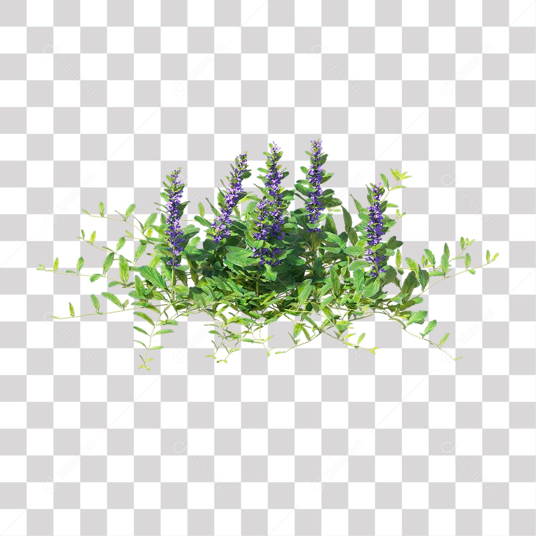 Planta com Flor PNG Transparente