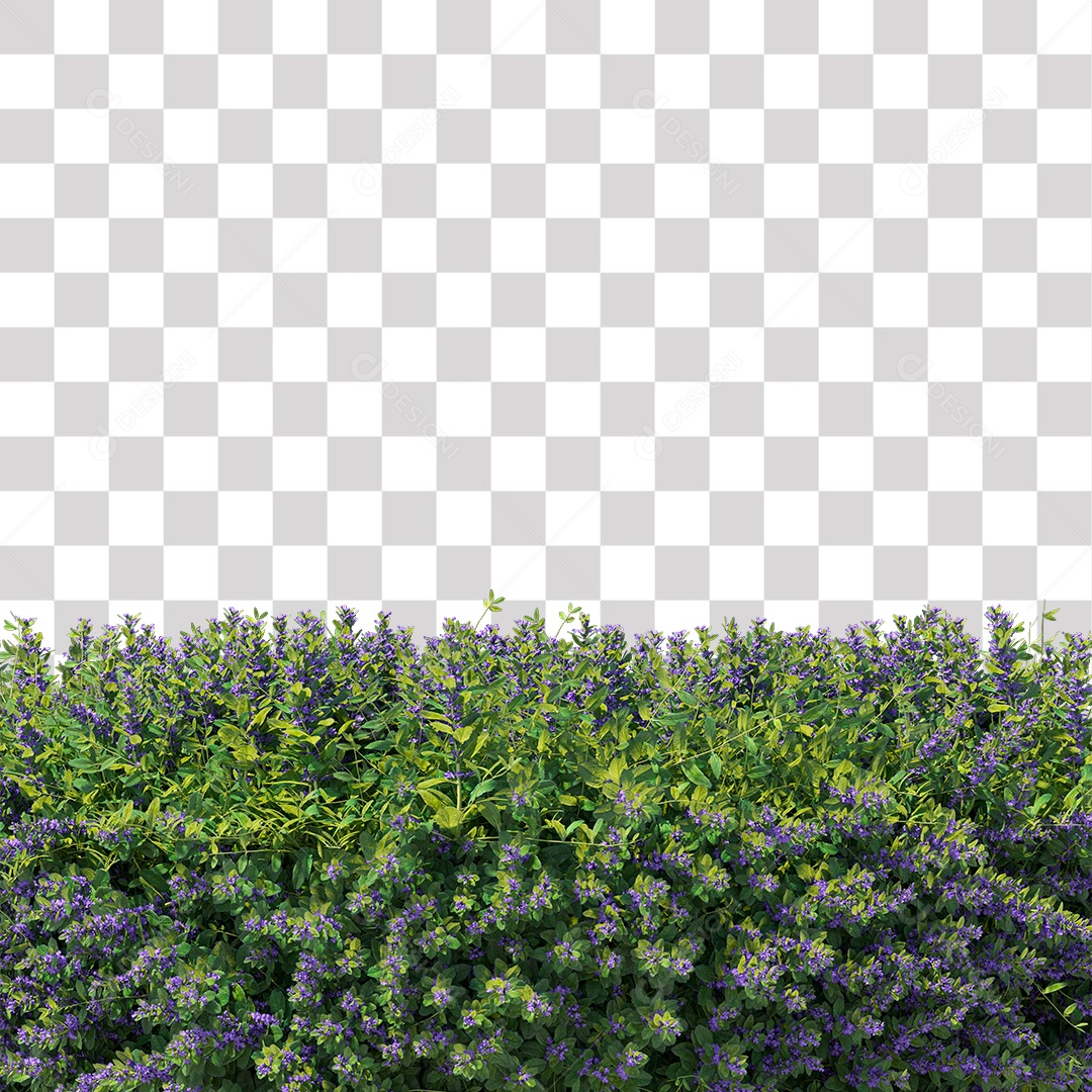 Planta com Flor PNG Transparente