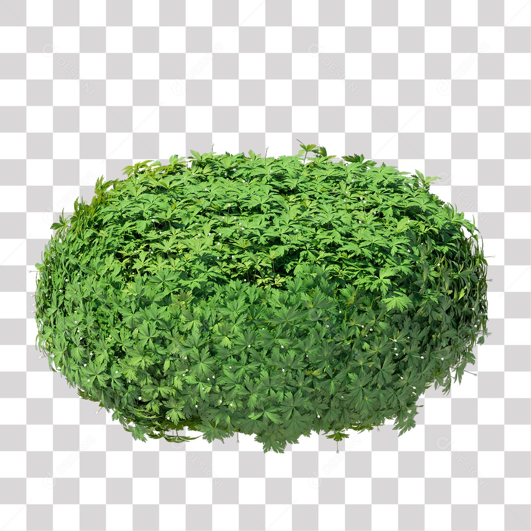 Planta folhas verdes PNG Transparente