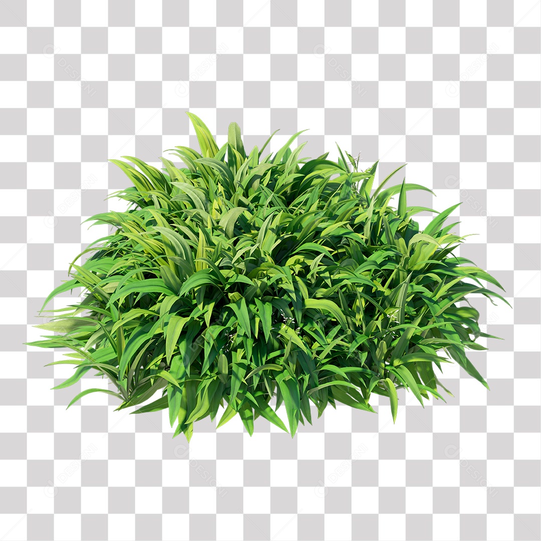 Planta com folha verdes PNG Transparente