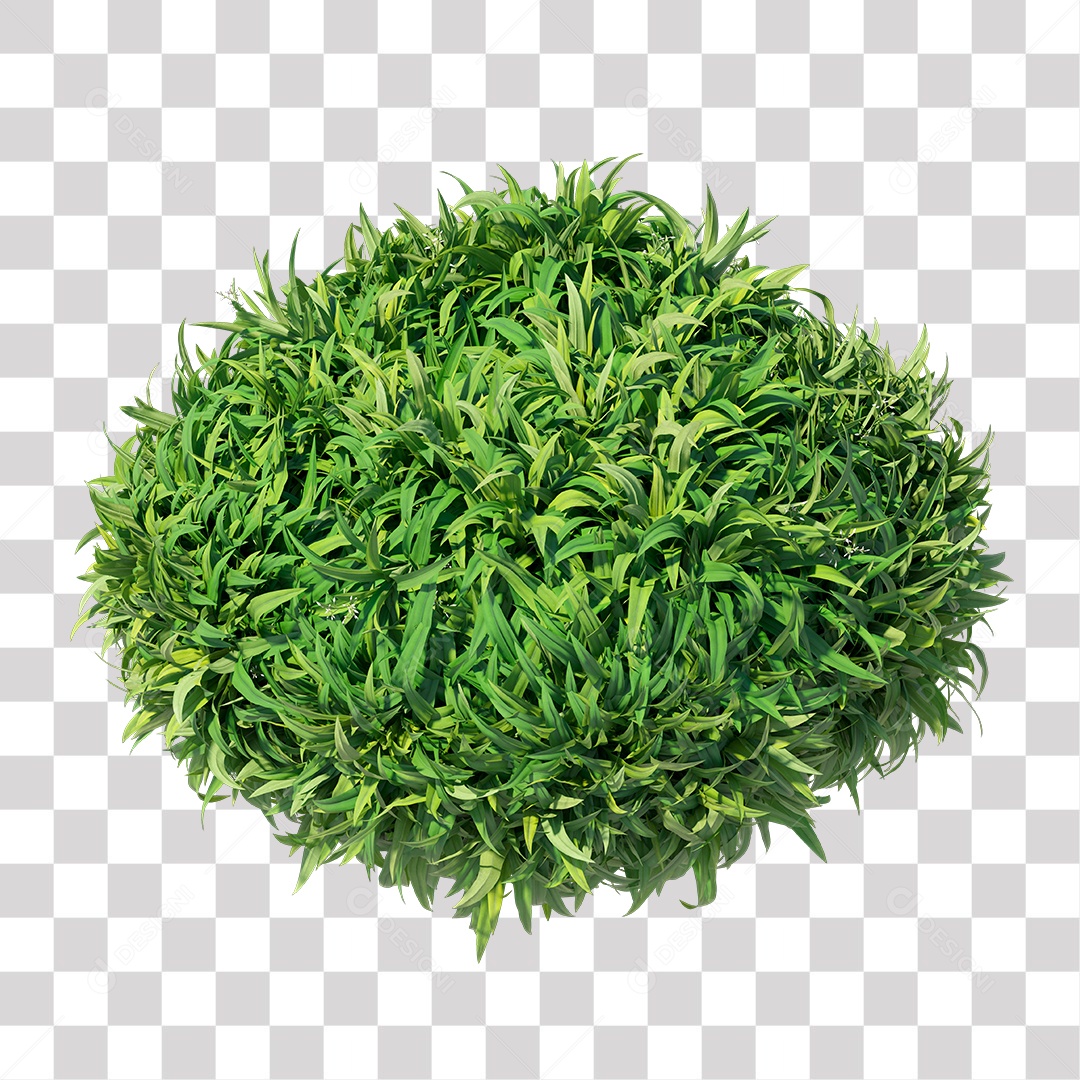 Planta com folha verdes PNG Transparente