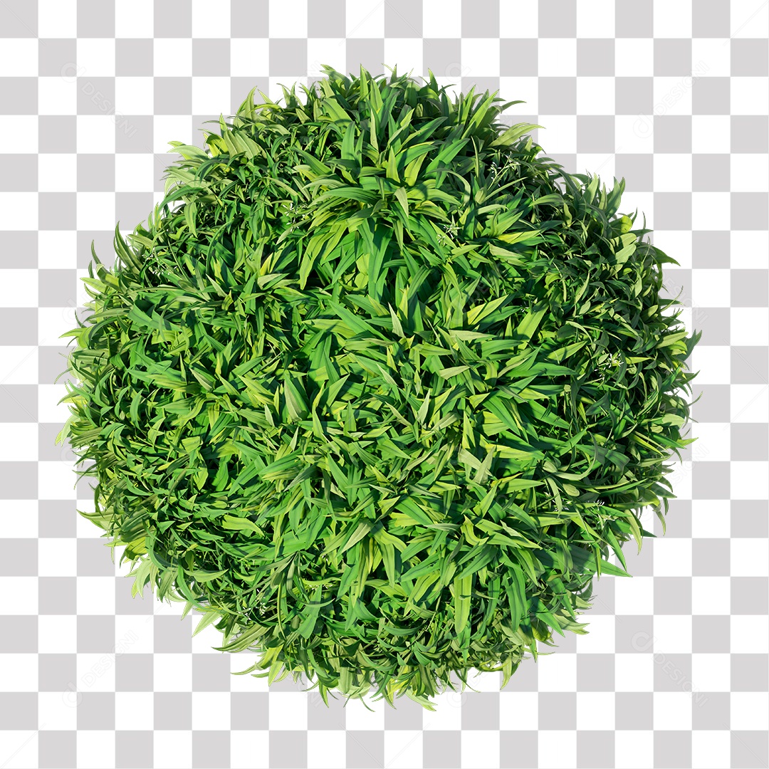 Planta com folha verdes PNG Transparente