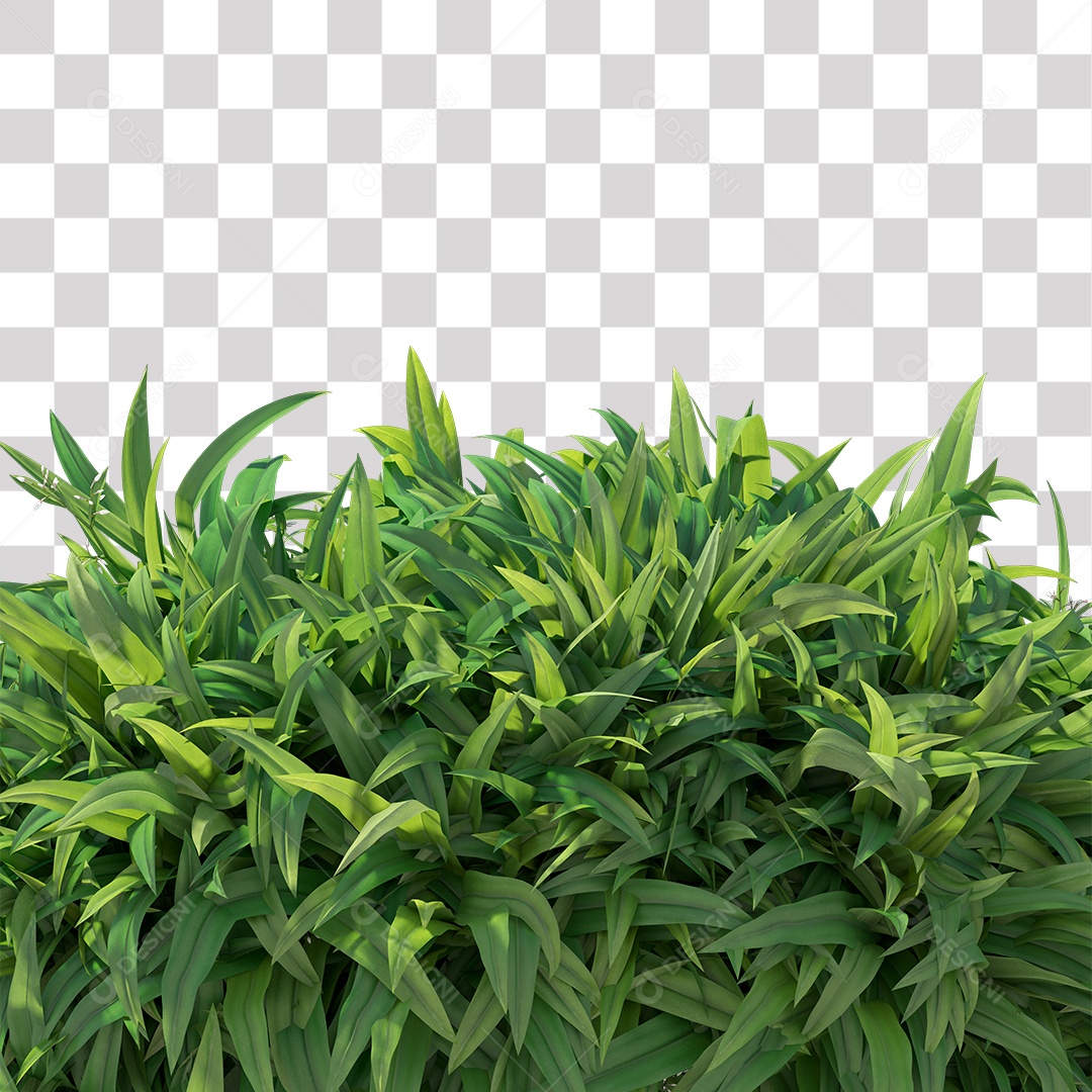 Planta com folha verdes PNG Transparente