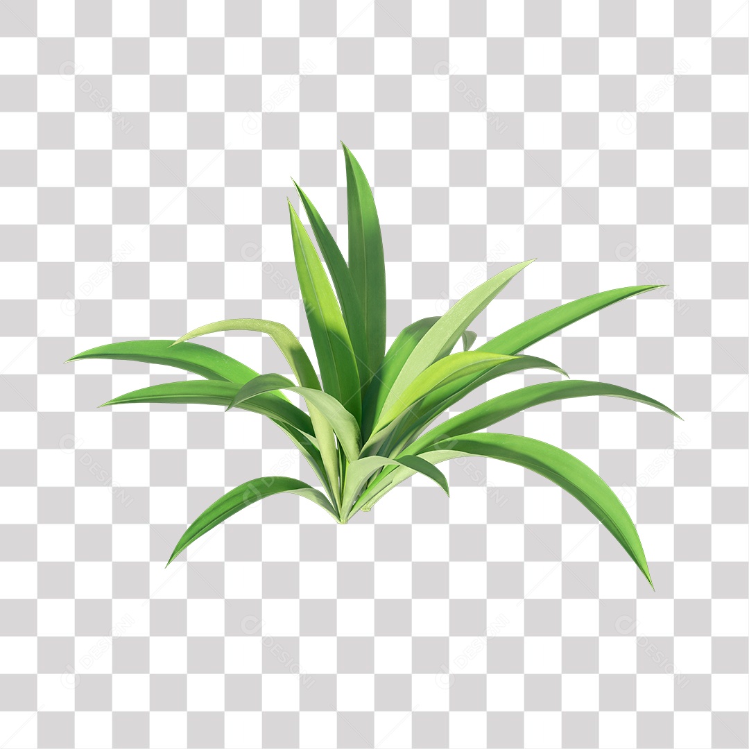 Planta com folha verdes PNG Transparente