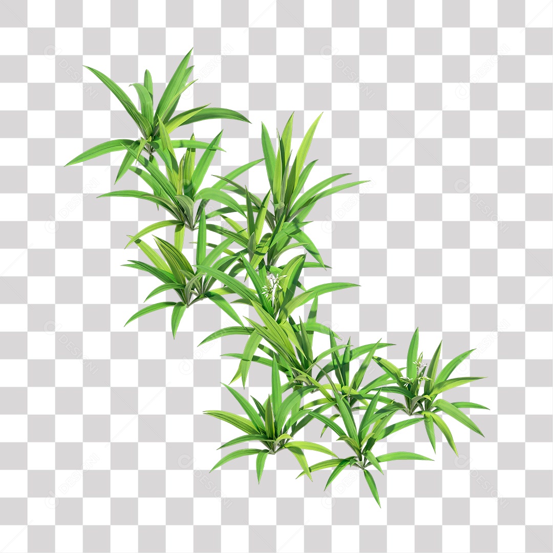 Planta com folha verdes PNG Transparente