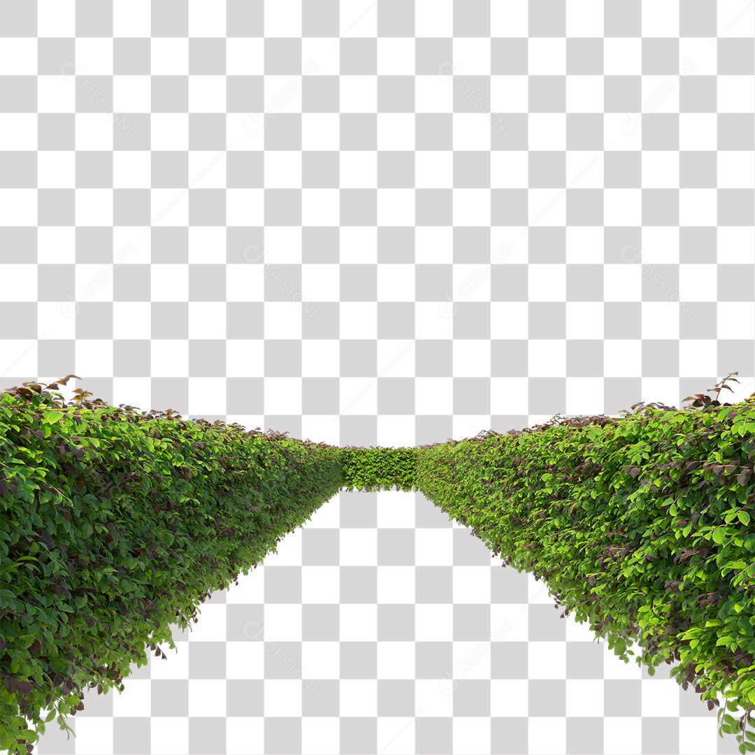 Planta com folha verdes PNG Transparente