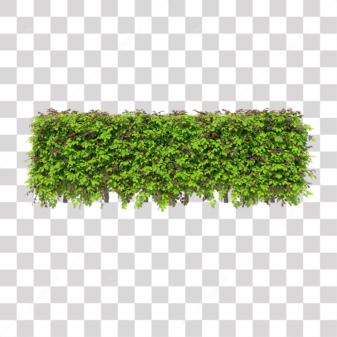 Planta De Jardim com Folhas Verdes Podada PNG Transparente