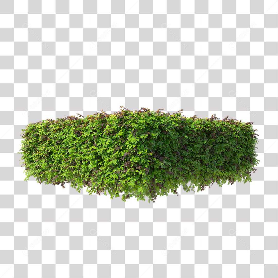Planta De Jardim com Folhas Verdes Podada PNG Transparente