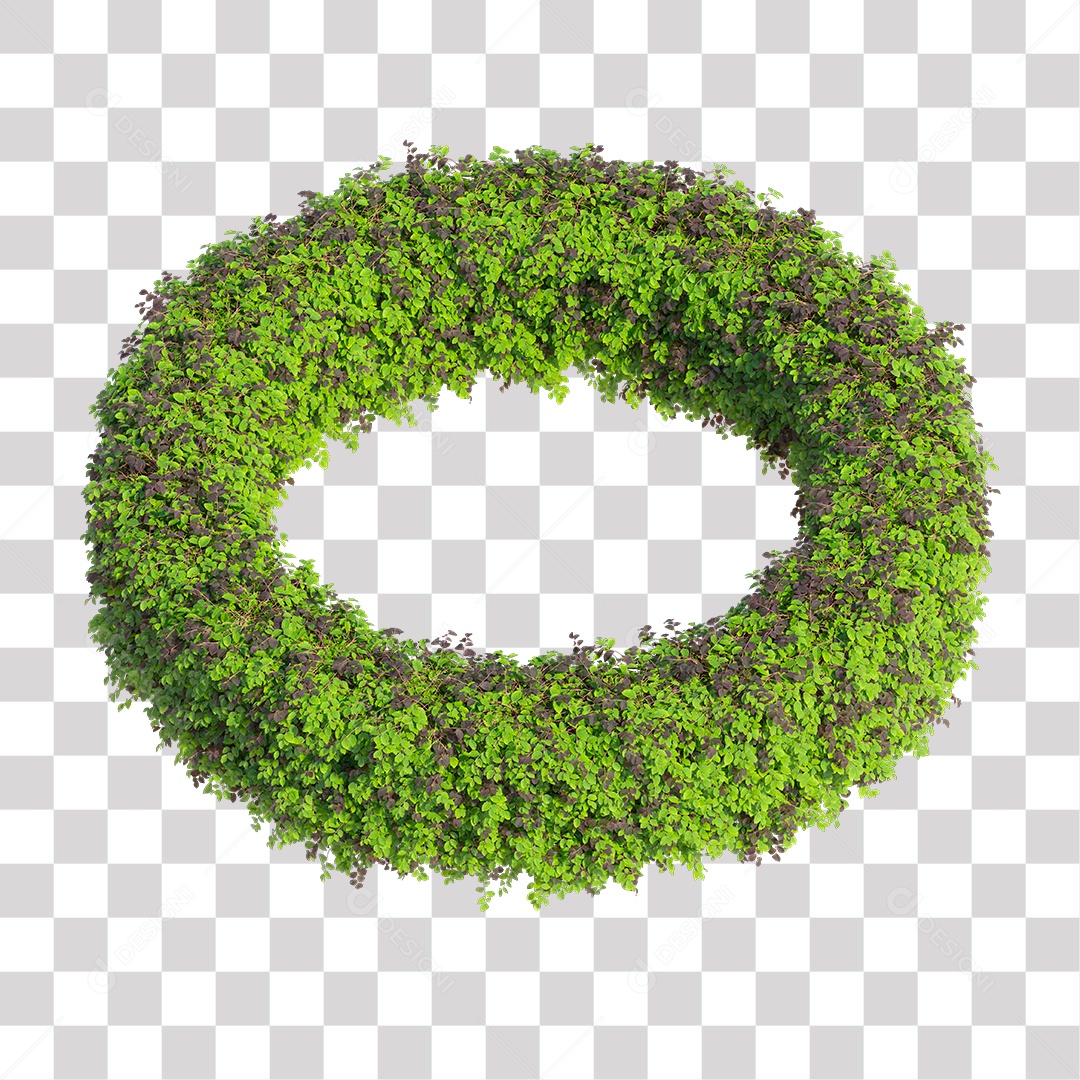 Planta De Jardim com Folhas Verdes Podada PNG Transparente