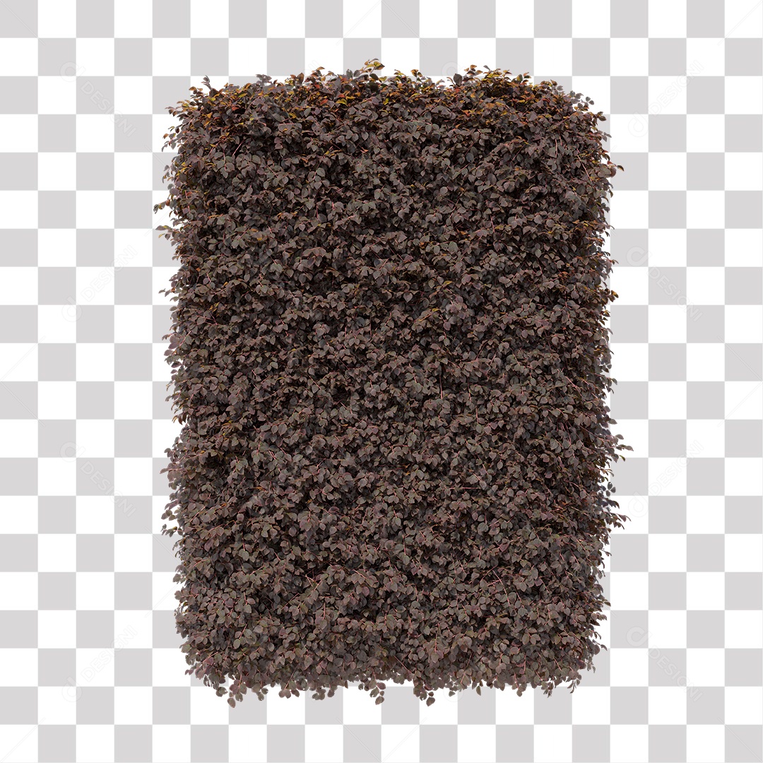 Planta De Jardim com Folhas Podada PNG Transparente