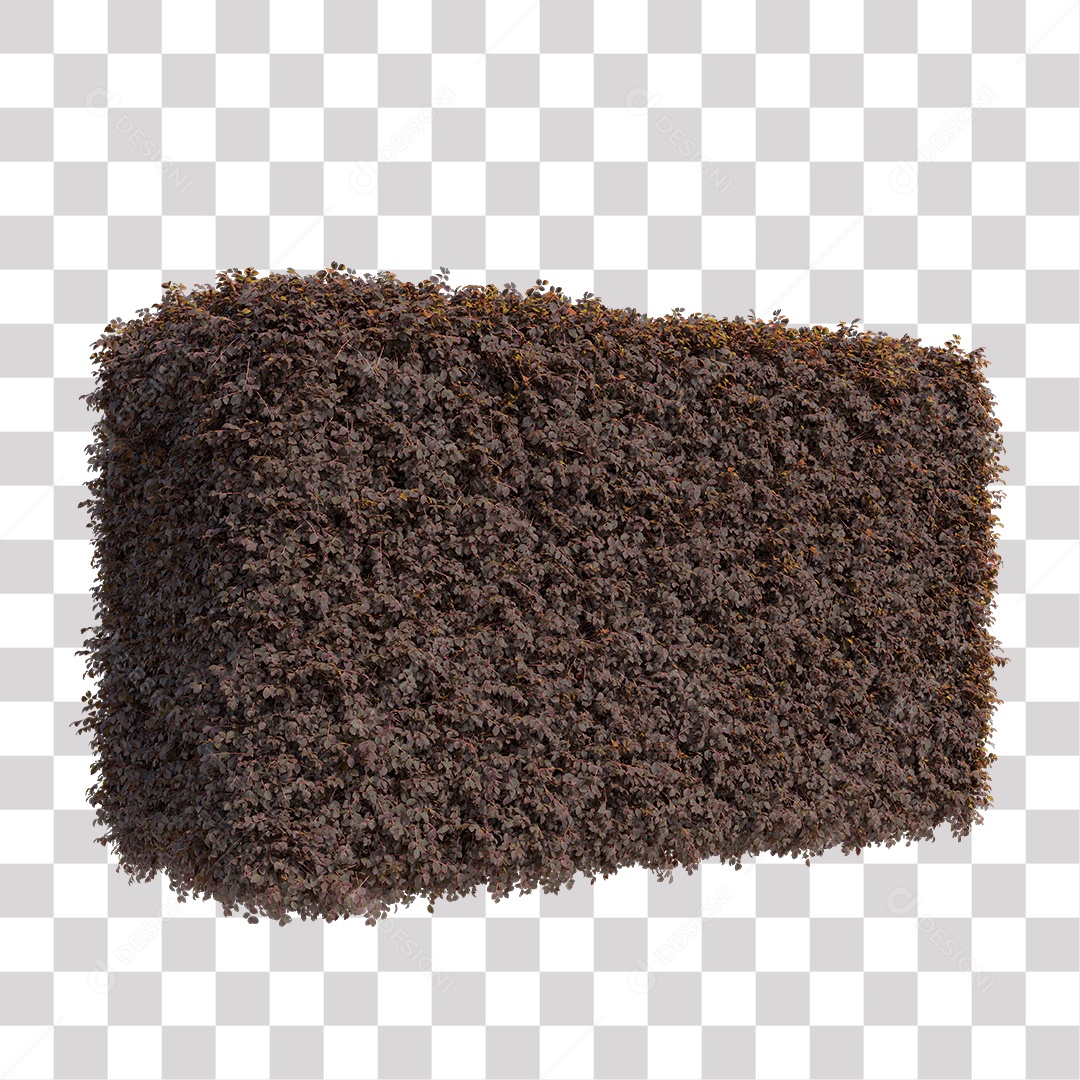 Planta De Jardim com Folhas Podada PNG Transparente