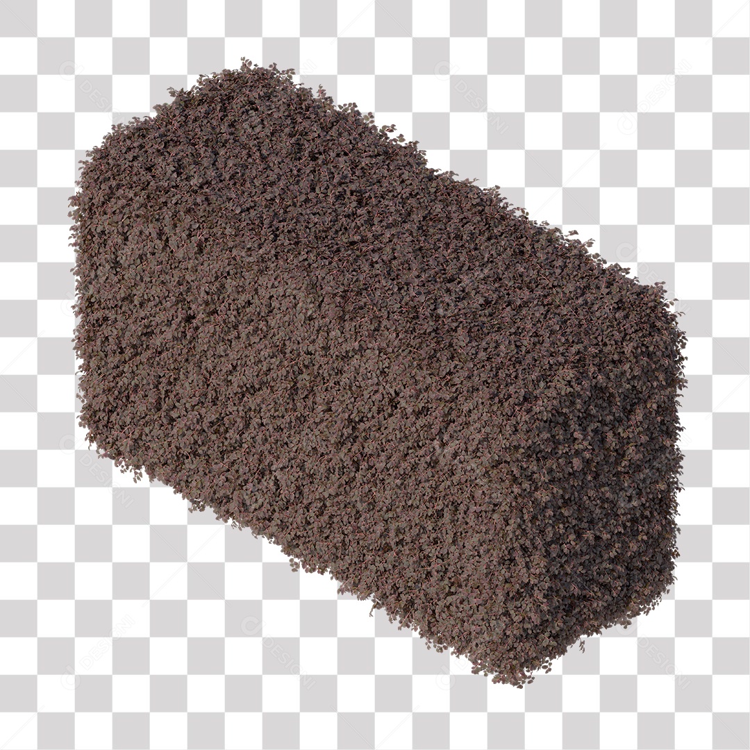 Planta De Jardim com Folhas Podada PNG Transparente