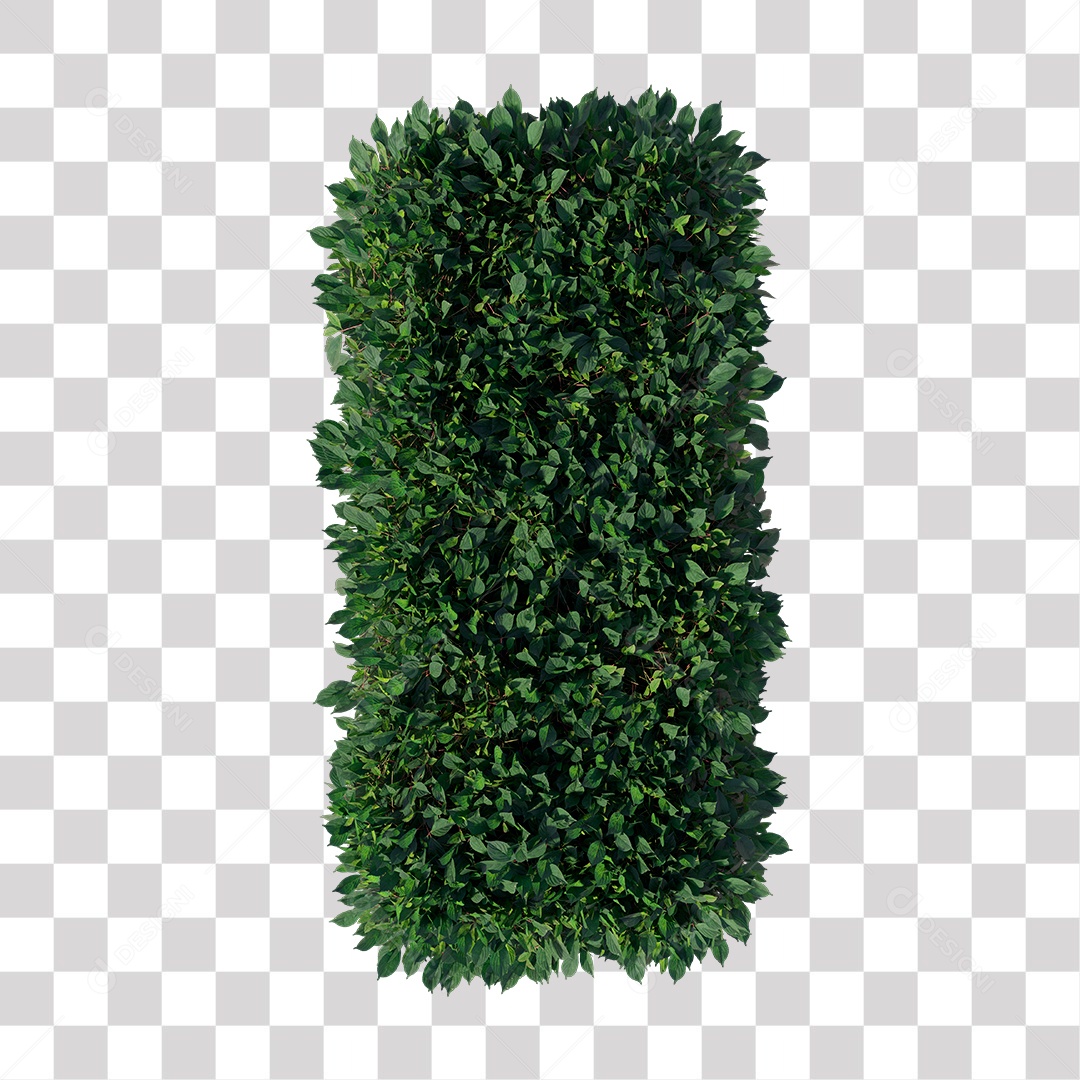 Planta De Jardim com Folhas Verdes Podada PNG Transparente