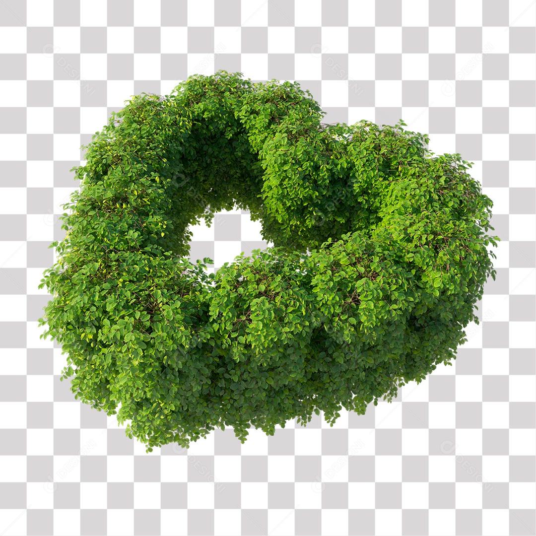 Planta De Jardim com Folhas Verdes Podada PNG Transparente