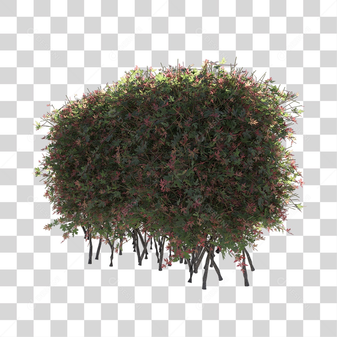 Planta de Jardim PNG Transparente