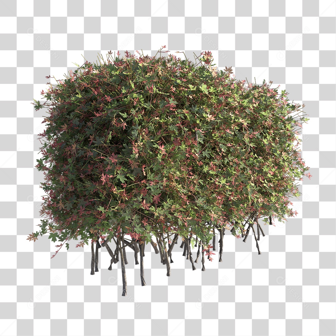 Planta de Jardim PNG Transparente