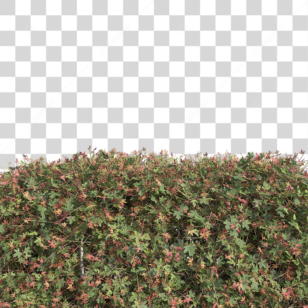 Planta de Jardim PNG Transparente