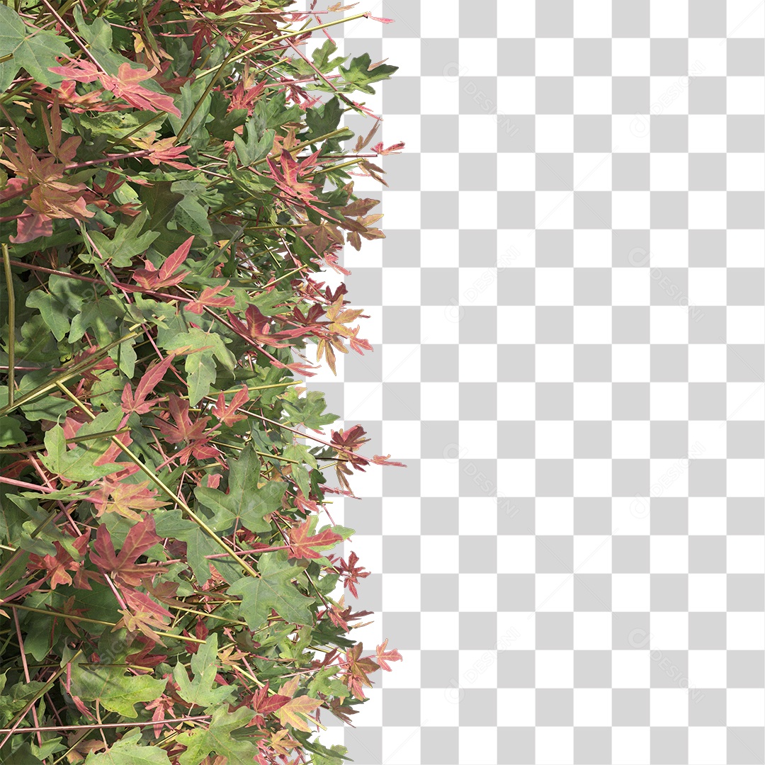 Planta Arbusto PNG Transparente