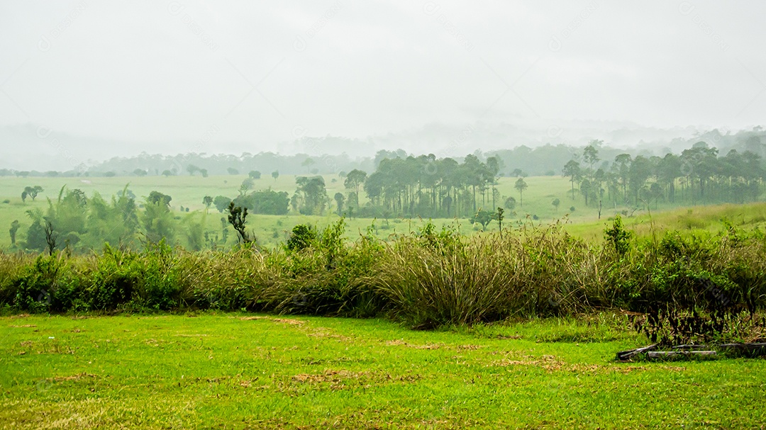 Bela paisagem florestal no Parque Nacional Thung Salaeng Luang, na província de Phitsanulok, na Tailândia. / Savanna no Parque Nacional da Tailândia chamado Thung Salaeng Luan