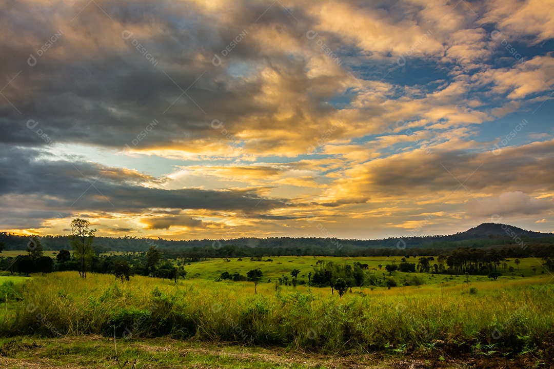 Bela paisagem florestal no Parque Nacional Thung Salaeng Luang, na província de Phitsanulok, na Tailândia. / Savanna no Parque Nacional da Tailândia chamado Thung Salaeng Luan