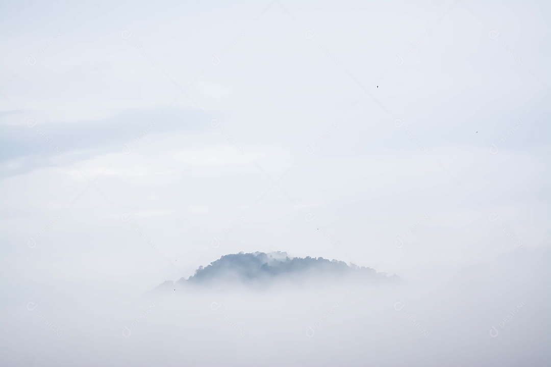 Paisagem floresta sobre neblina