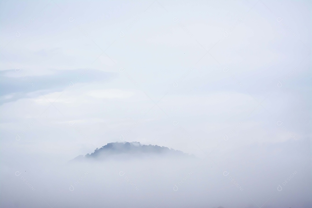 Paisagem floresta sobre neblina