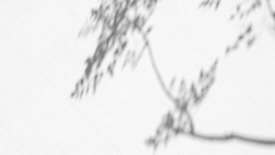 Deixa o efeito de sobreposição de sombra natural no fundo de textura branca