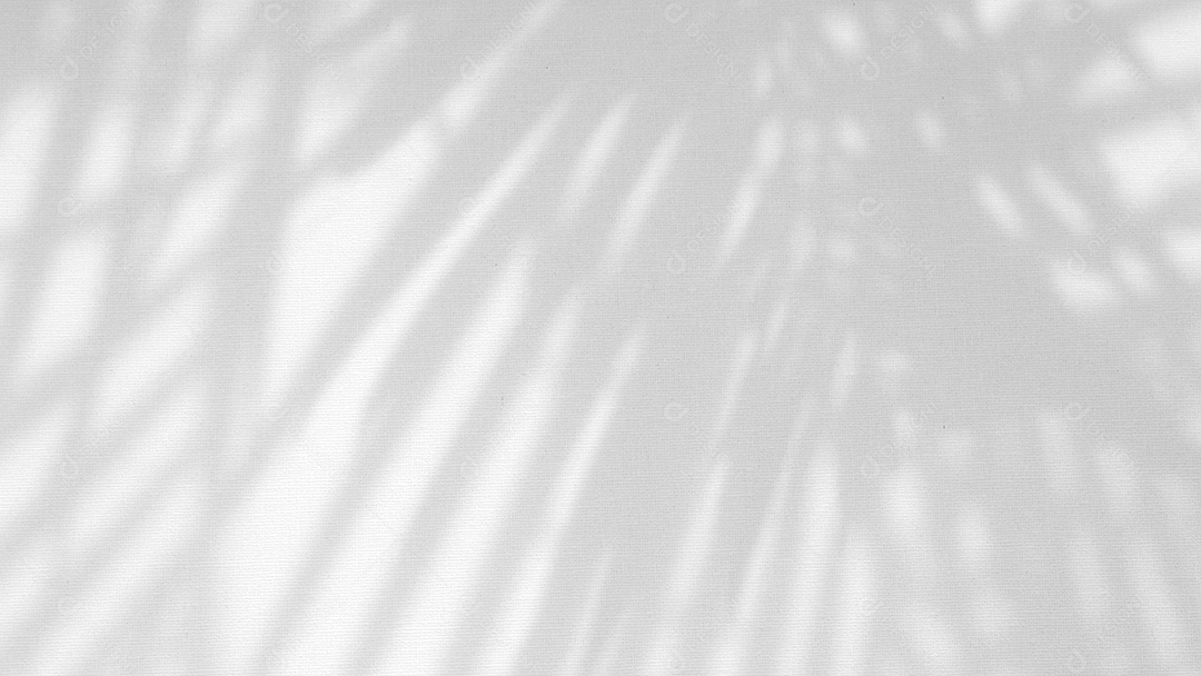 Deixa a sobreposição de sombra natural no fundo de textura branca