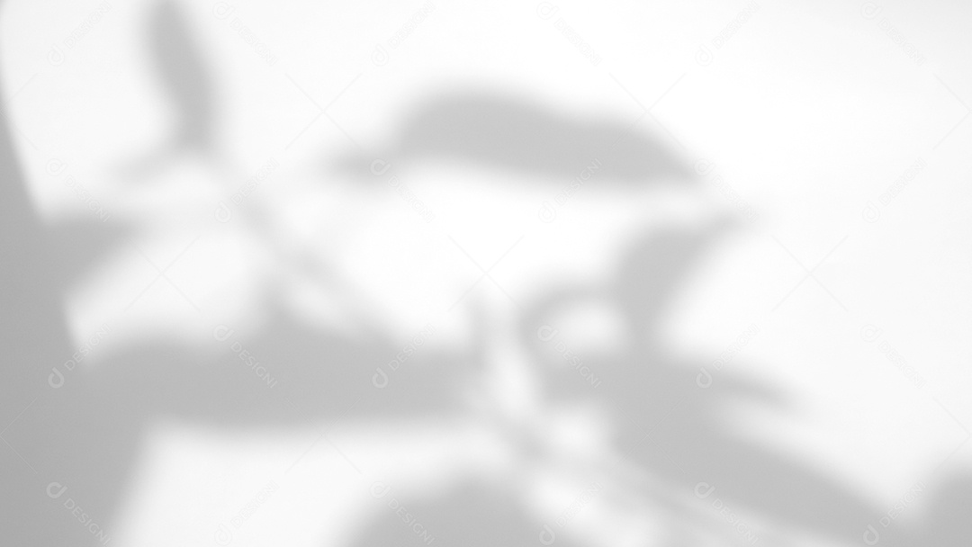 Deixa a sobreposição de sombra natural no fundo de textura branca