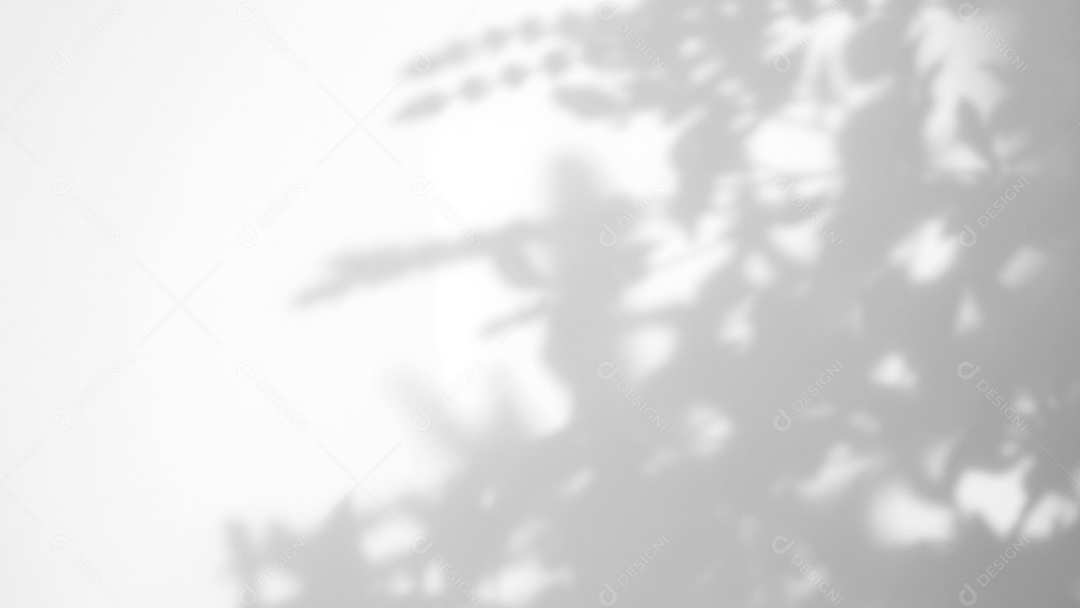 Deixa a sobreposição de sombra natural no fundo de textura branca