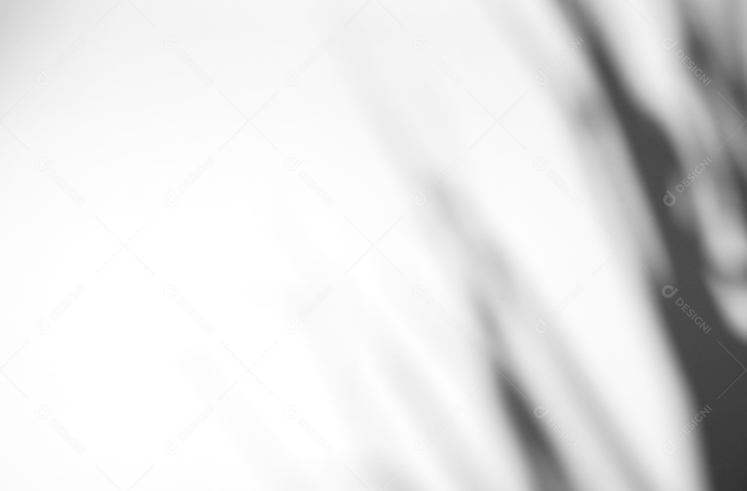 Deixa a sobreposição de sombra natural no fundo de textura branca