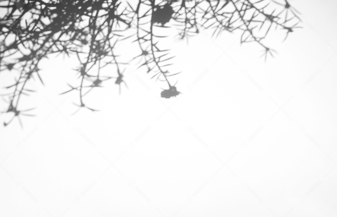 Efeito de sobreposição de sombra natural da janela no fundo de textura branca