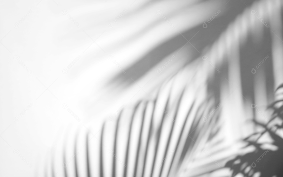 Tropical deixa sobreposição de sombra natural no fundo de textura branca