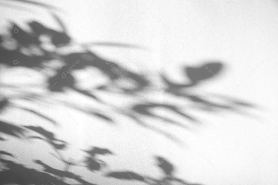 Deixa a sobreposição de sombra natural no fundo de textura branca