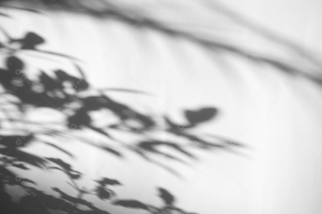 Tropical deixa sobreposição de sombra natural no fundo de textura branca