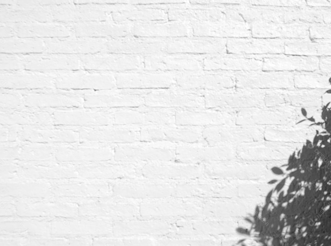 Deixa a sobreposição de sombra natural no fundo branco da textura da parede de tijolos