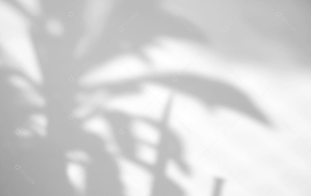 A planta deixa a sobreposição natural da sombra no fundo branco da textura