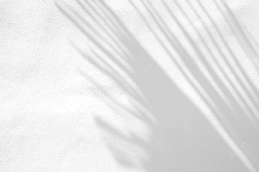 Deixa a sobreposição de sombra natural no fundo de textura branca