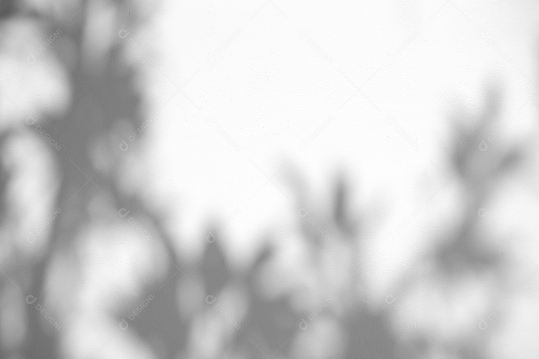 Deixa a sobreposição de sombra natural no fundo de textura branca