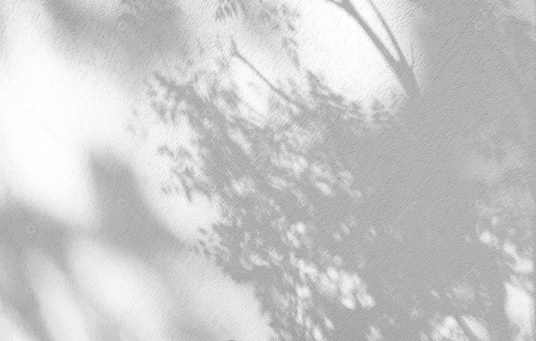 Deixa a sobreposição de sombra natural no fundo de textura branca